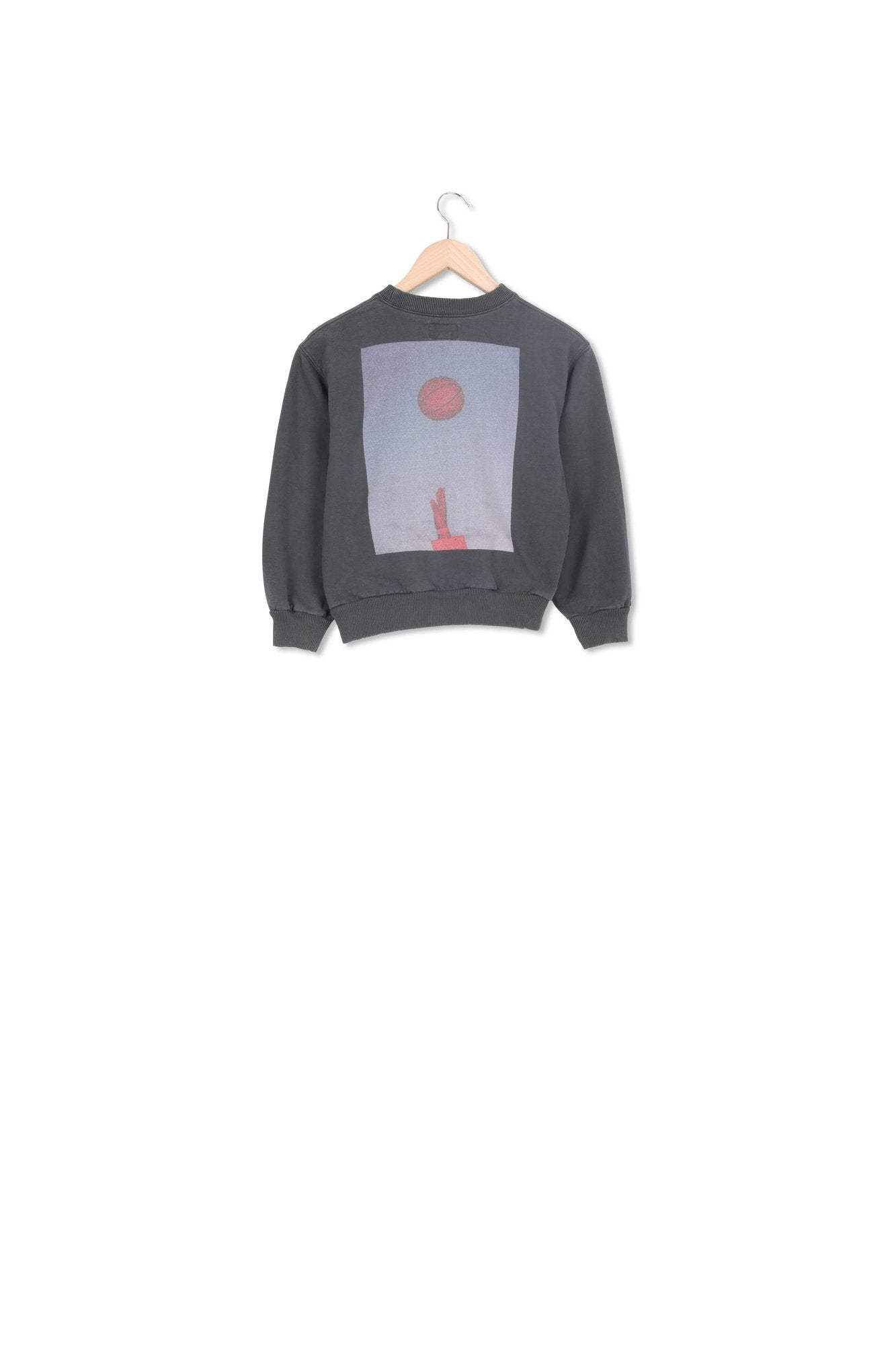 SWEATSHIRT CHAMI Faume - seconde main