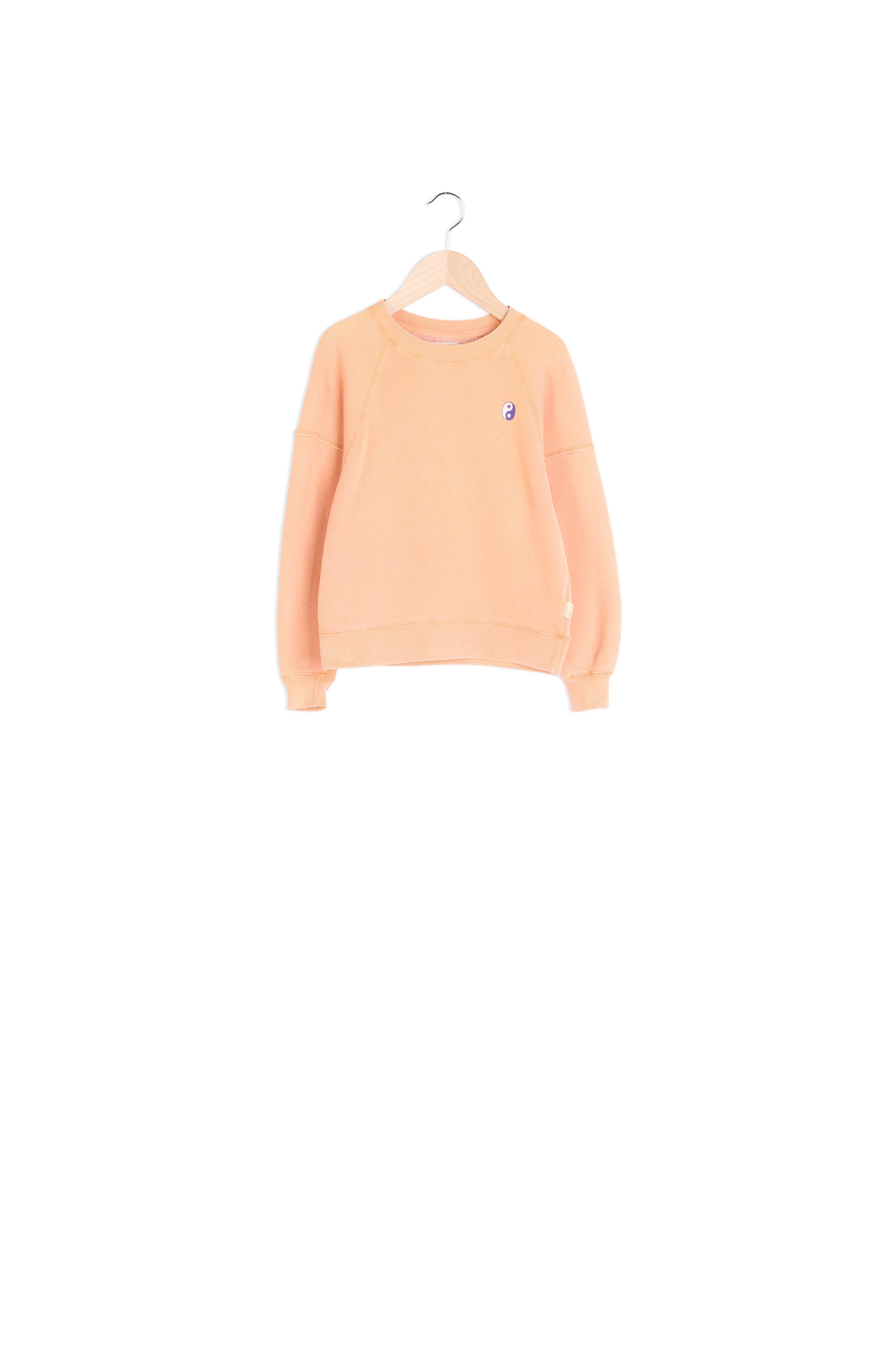 SWEATSHIRT FADE Faume - seconde main