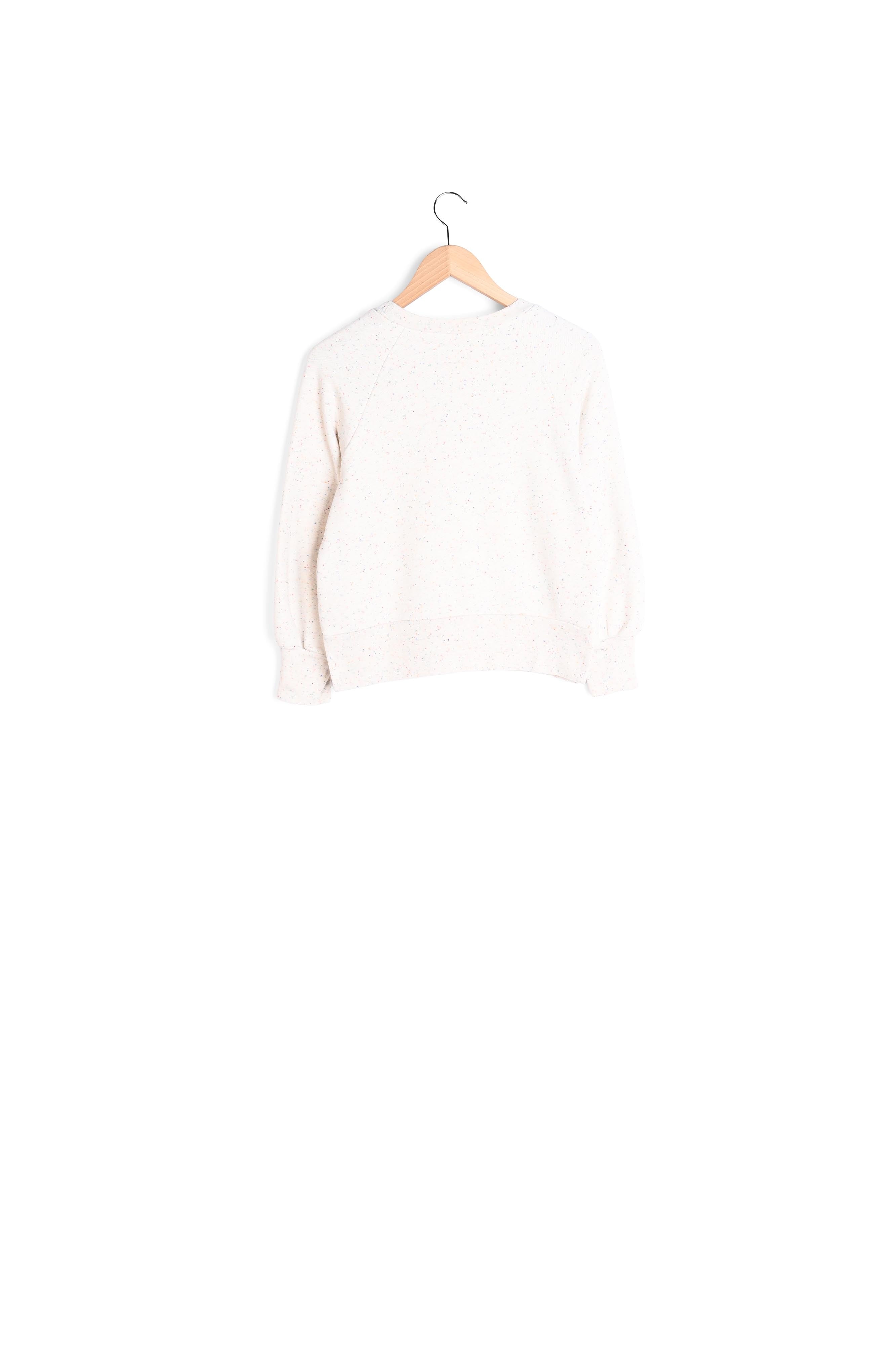 SWEATSHIRT BIZZO Faume - seconde main