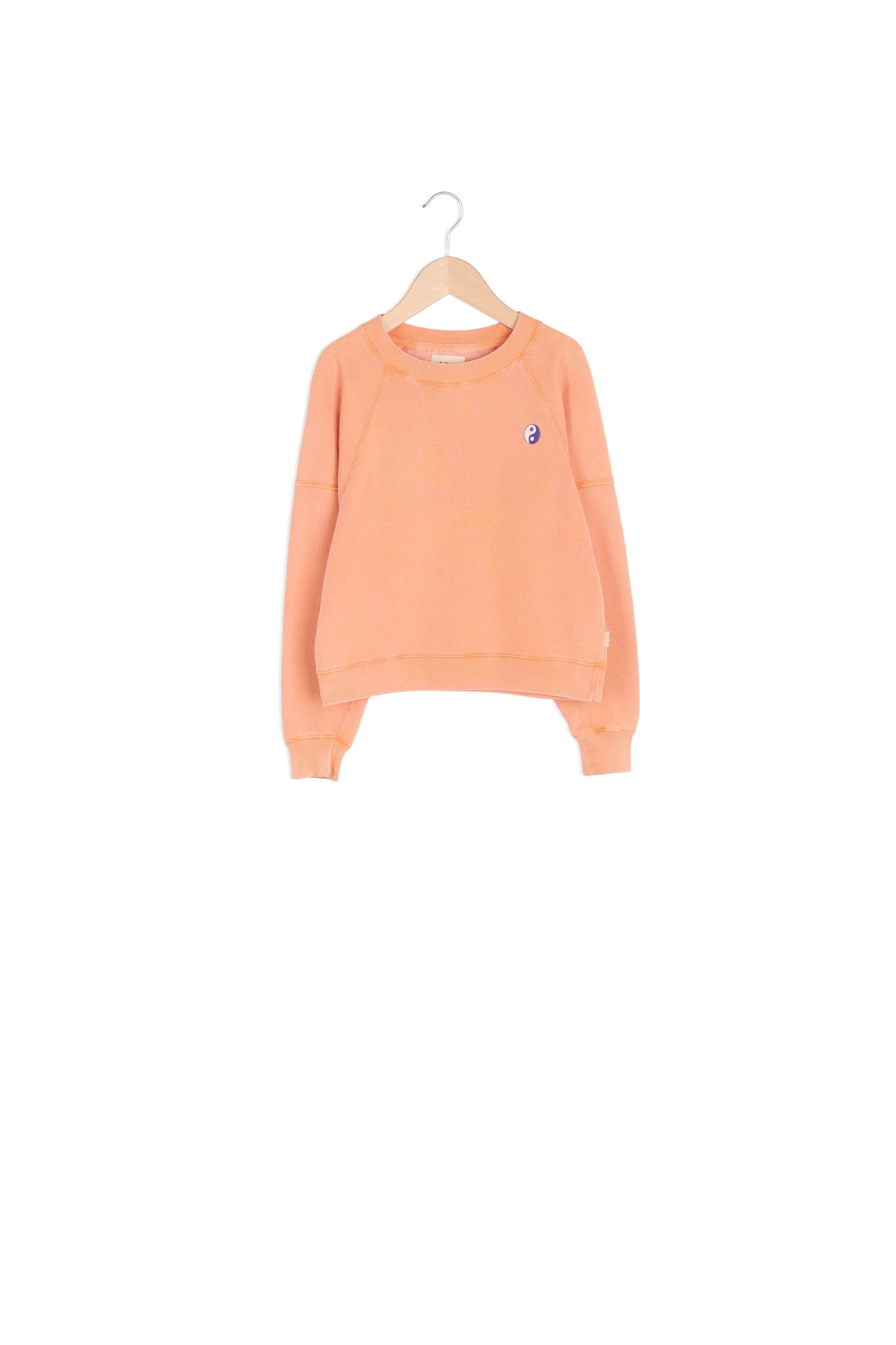 SWEATSHIRT FADE Faume - seconde main