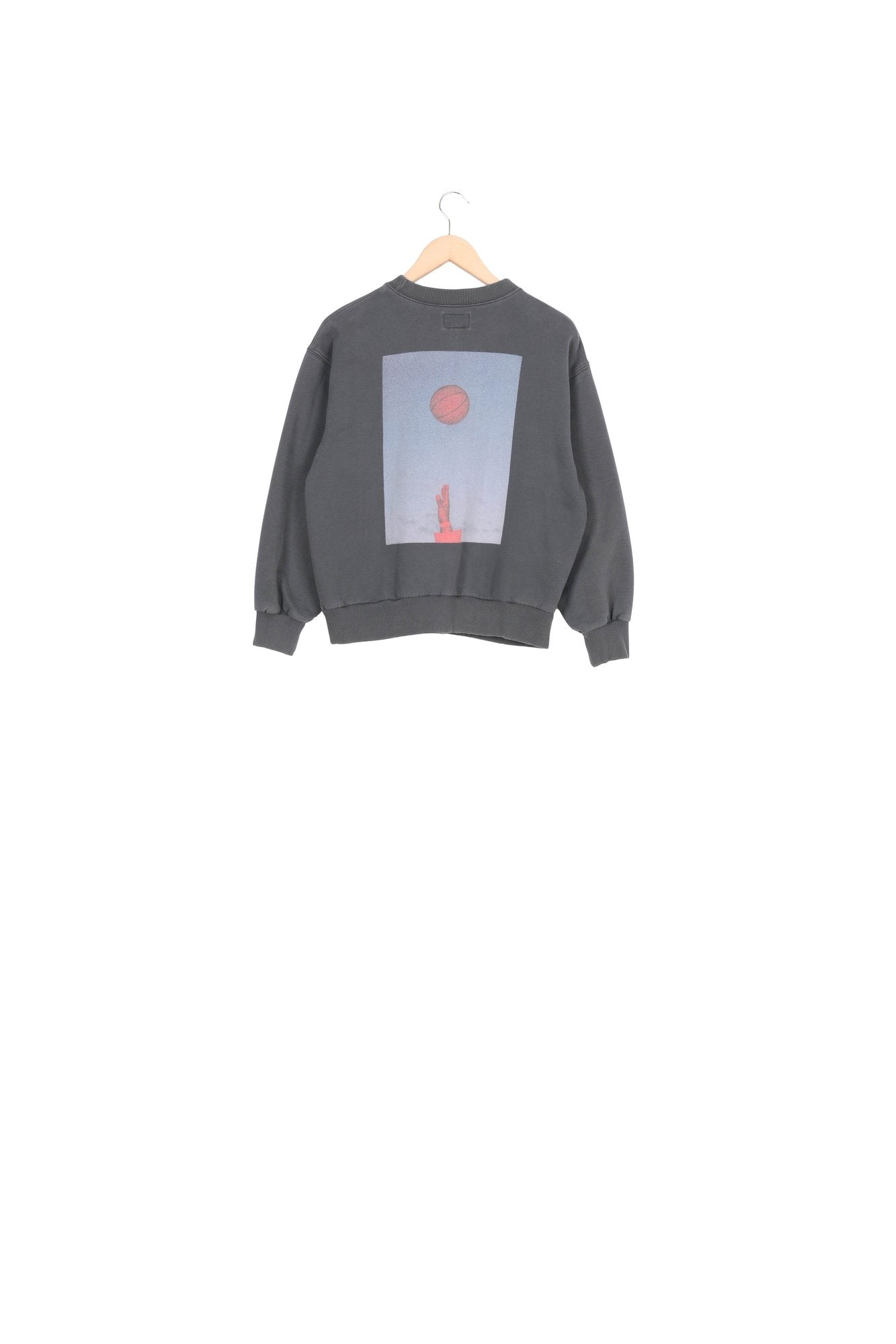 SWEATSHIRT CHAMI Faume - seconde main