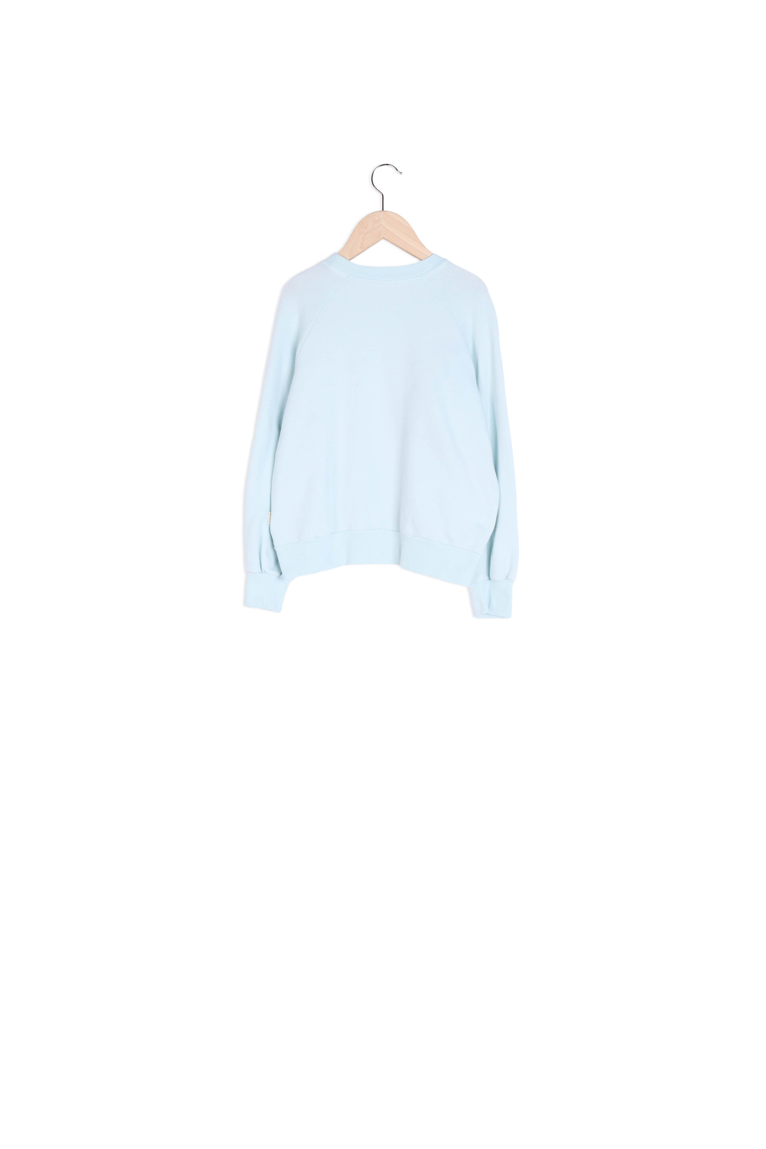 SWEATSHIRT VAJA Faume - seconde main